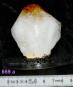 morepic-1