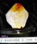 morepic-5