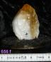 morepic-6